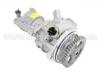 轉向助力泵 Power Steering Pump:062 145 165