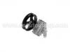 轉向助力泵 Power Steering Pump:4007.P6