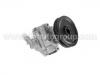 轉向助力泵 Power Steering Pump:4007.C9