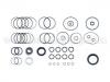 轉向器墊片修理包 Steering Gasket Set:4A1 498 020 A