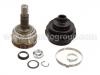 球籠 CV Joint:171 498 099 A