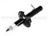 Shock Absorber:1 073 878